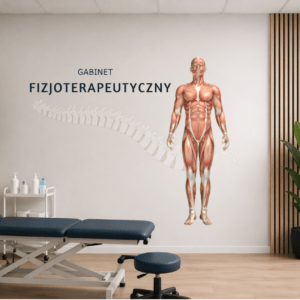 druk ścienny anatomia mięśni gabinet fizjoterapeutyczny Wrocław grafika edukacyjna ściana
