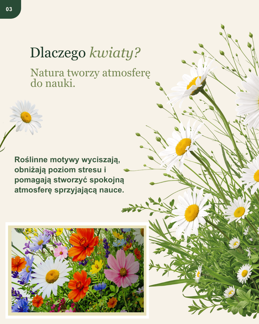 Druk_scienny_dla_szkol_sciany_do_zmiany (3)